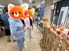 -三亚亚龙湾人间天堂鸟巢度假村