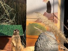 -昆明动物园