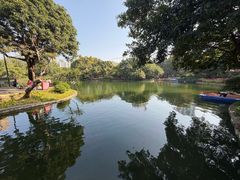 -晓港公园