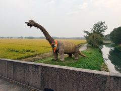 -嘉北郊野公园