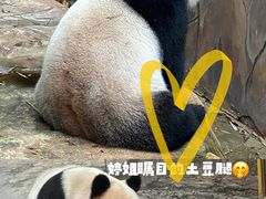-广州长隆野生动物世界