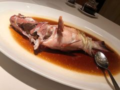 清蒸东星斑-利苑酒家(华熙国际店)