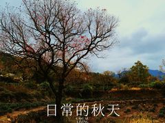 -塔川景区