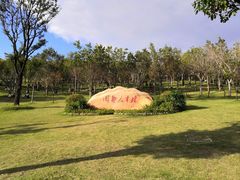 -牛岗山公园