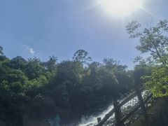 -广州白江湖森林公园