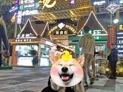 -三亚湾红树林度假世界(木棉酒店)