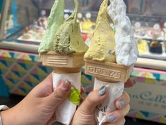 -柠檬车露(卖草地店)