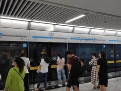 -大龙山(地铁站)