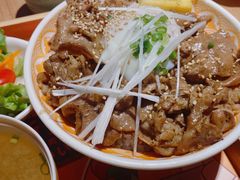 -桃花丼烧肉饭(凯丹商场店)