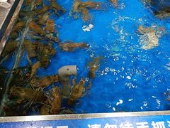 -盒马鲜生(昆城店)