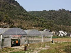 -车溪民俗旅游区