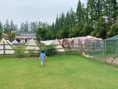 -前小桔亲子创意农场·草莓采摘·露营烧烤