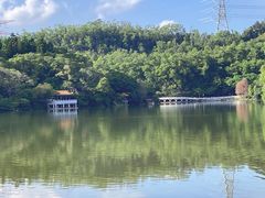 -深圳仙湖植物园