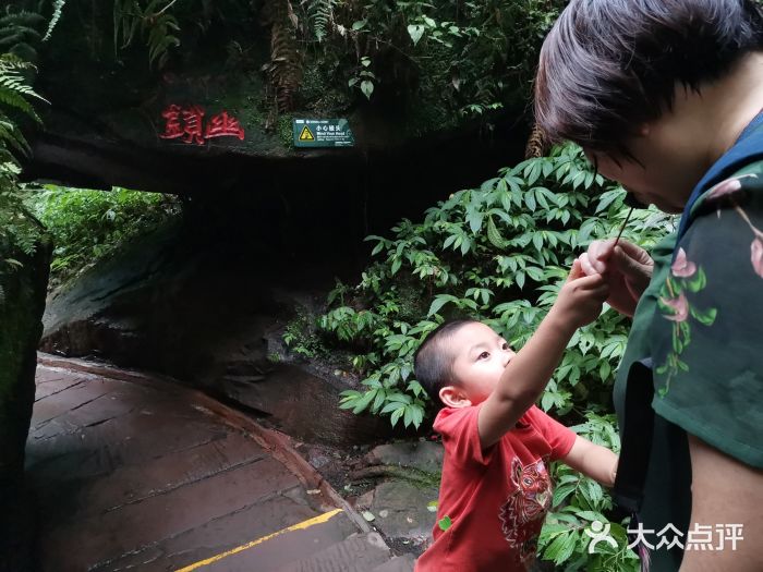 碧峰峡风景区图片