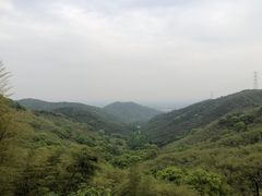 -东明山森林公园