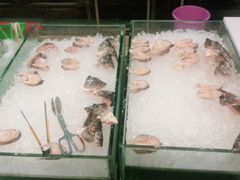 -渔家火锅·海鲜自助餐·演艺(亚龙湾天域酒店)