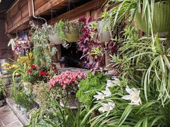 -龙姐私房菜(和顺古镇店)