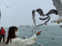 -海驴岛(荣成市)