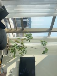 -JNK皮肤管理中心