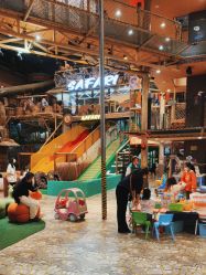 -卡通尼·Safari非洲探索乐园·生日会(金桥国际商业广场店)