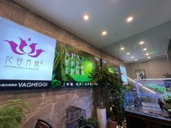 -阅年轻·AI家庭健康体质调理