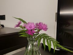 -上海华凯华美达广场酒店