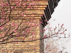 -广富林郊野公园