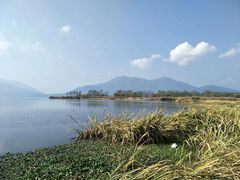 -西昌邛海湿地