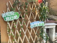 -杨家堂村