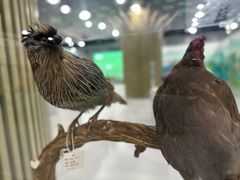 -陕西科学技术馆