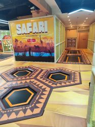 -卡通尼·Safari非洲探索乐园·生日会(金桥国际商业广场店)
