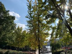 -苏州河梦清园环保主题公园