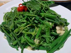 蒜泥丝瓜尖-徽镇小厨·经典徽菜(马连道店)