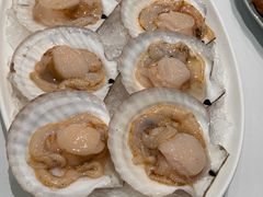 -皇城老妈·大连海鲜火锅(港湾店)