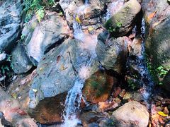 -火炉山森林公园