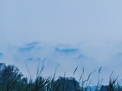 -前关湿地公园