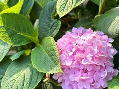 -常州古运河南大街文化旅游区-人民公园