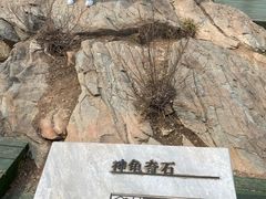 -定都阁