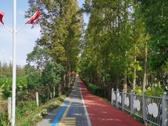 -上海长兴岛郊野公园