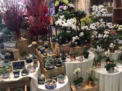 -优托邦(长兴路店)