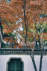 -颐和宾馆宴会厅