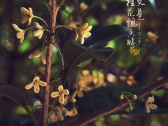 -颐和园