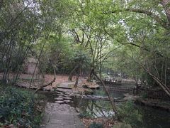 -兰亭风景区