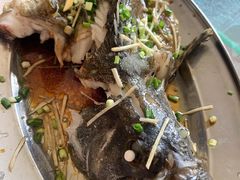 老虎斑-十四涌水产中心