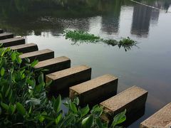 -重庆彩云湖湿地公园