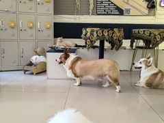 -平行世界·猫咖(首经贸店)