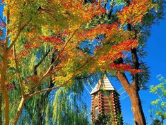 -昆山城市生态森林公园