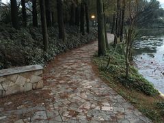 -四海公园(南山区)