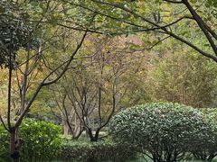 -杭州城北体育公园