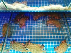 -渔民船说·北塘海鲜·天津菜·海肠捞饭(北塘古镇店)